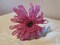 French Beaded flowers gerbera daisy blue pink purple product 1